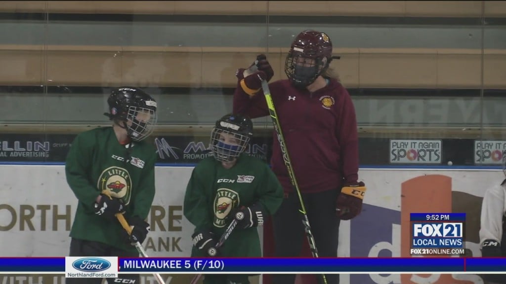 Little Wild Program
