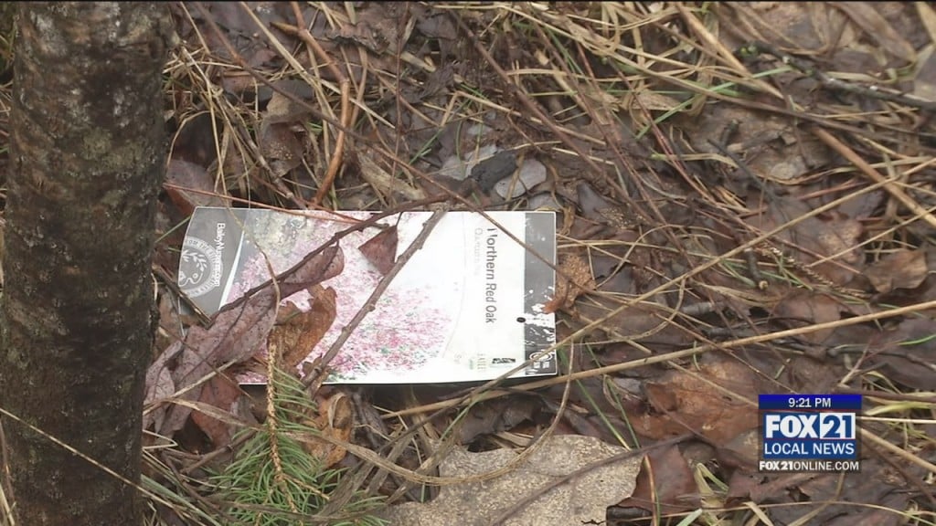 Litter