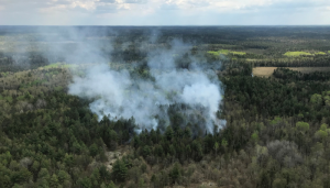 Fire Bwca