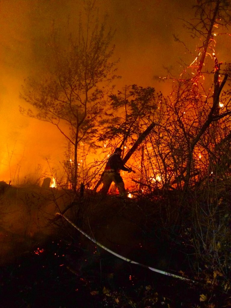 Cemetery Fire