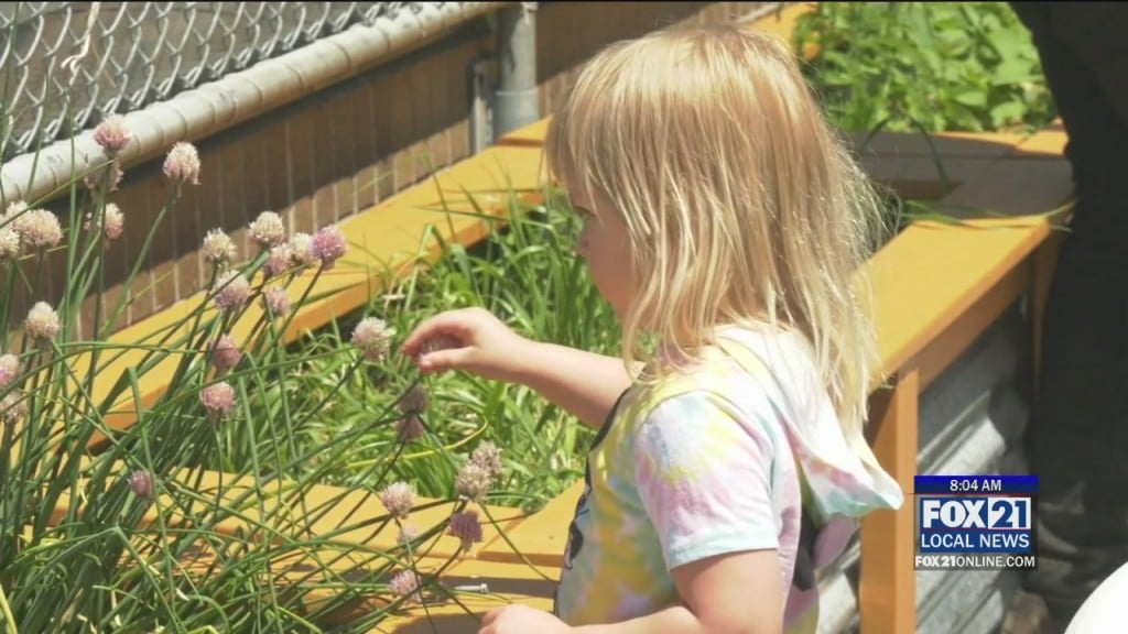 Garden Blessing