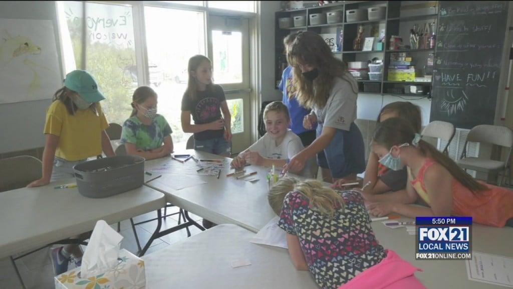 Animal Camp