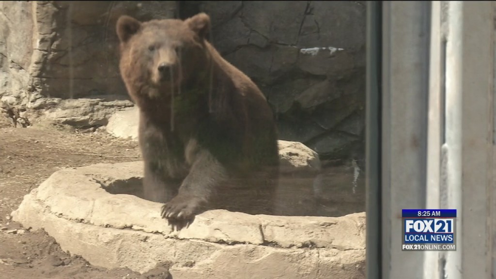 Zoo Summer Fun