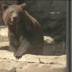 Zoo Summer Fun