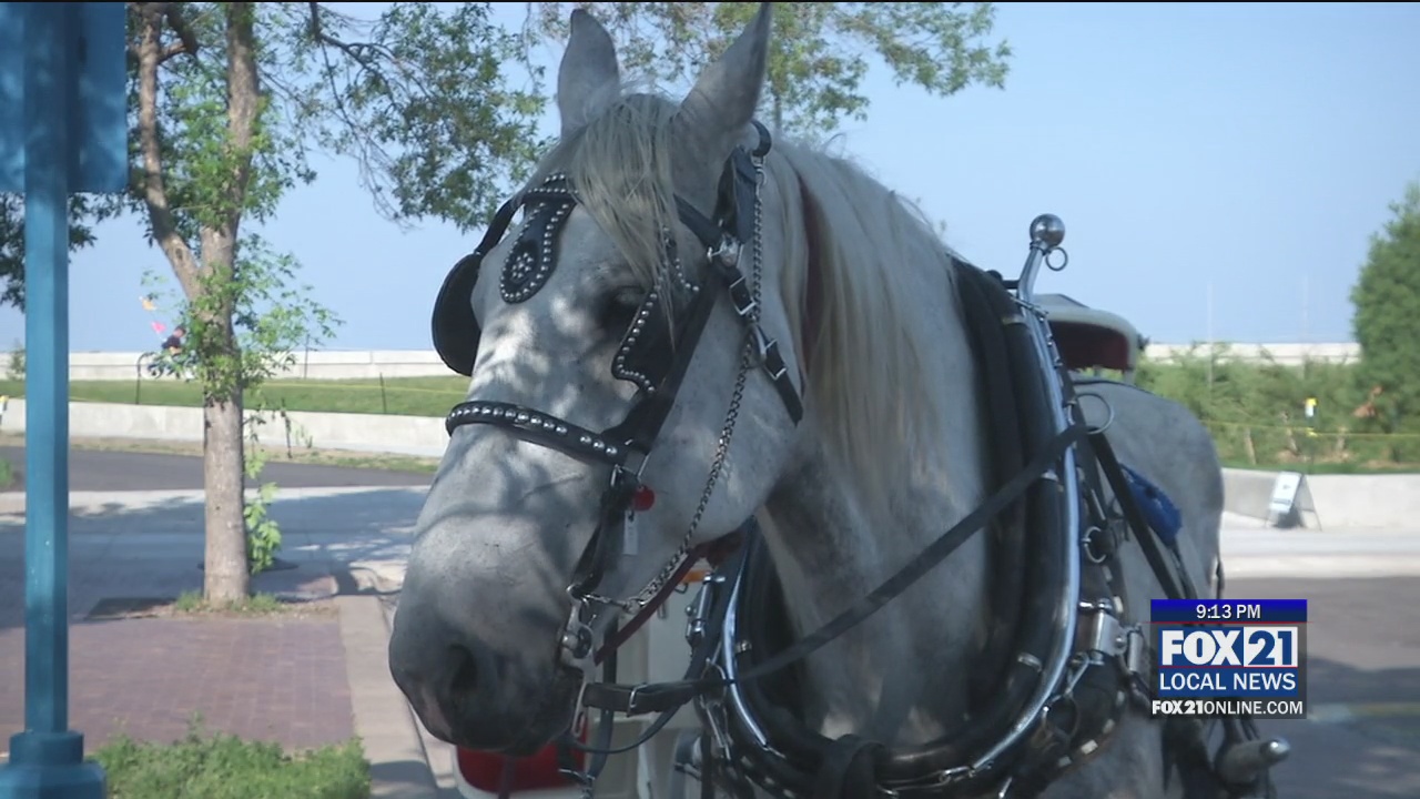 Top Hat Carriage Rides Return to Canal Park