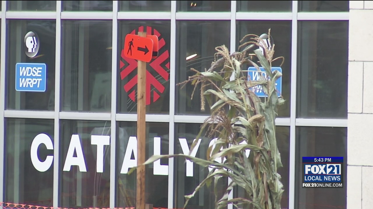 Catalyst Content Festival Will Return in the Fall