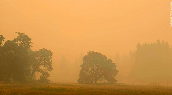 Smokey Haze