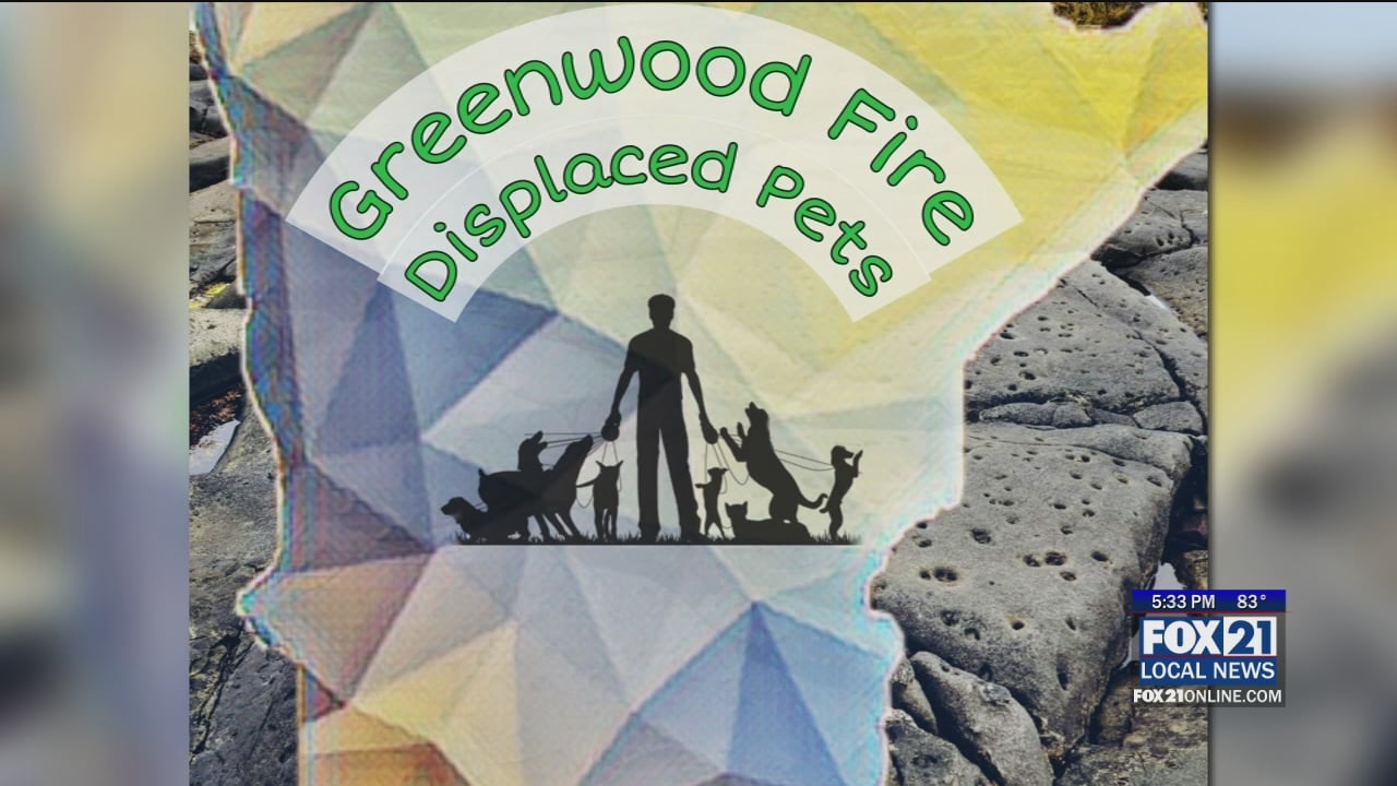 <b>Facebook</b> Page Created to Help Displaced Pets from Fires in Northeastern Minnesota - Fox21Online thumbnail
