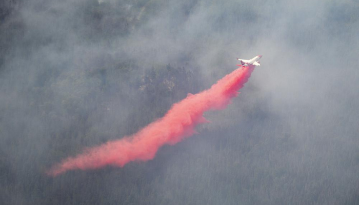 Wildfire