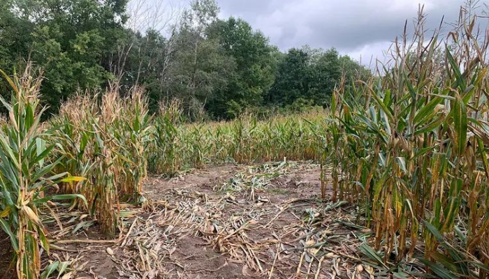 Dunn County Deaths