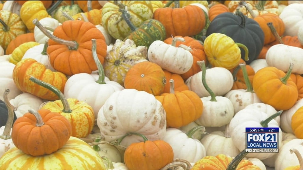 Pumpkin
