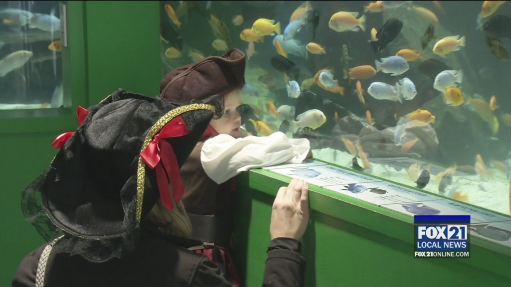 Scarium At The Aquarium