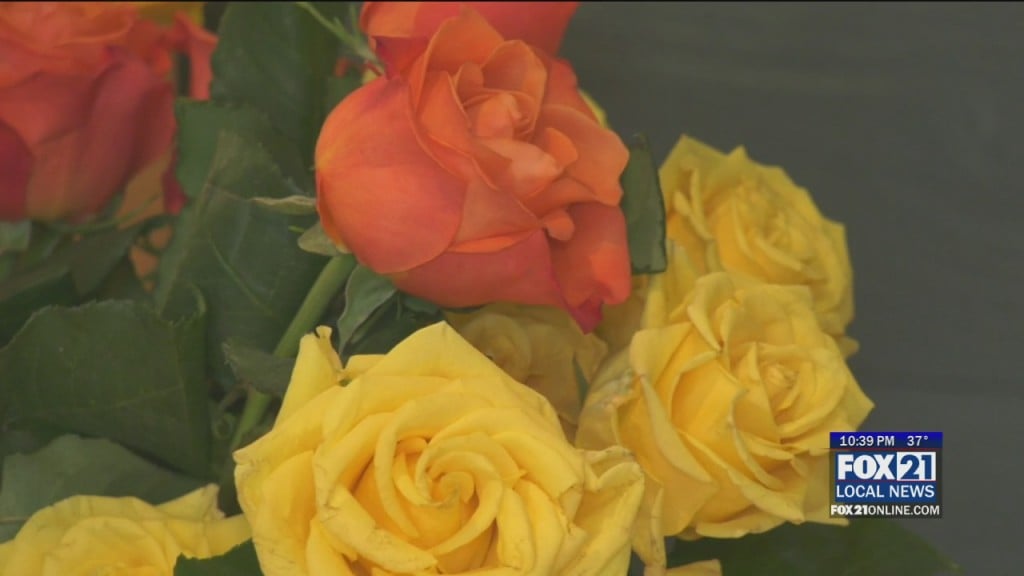 Flower Kindness