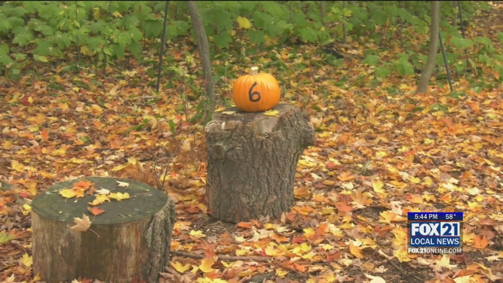 Pumpkin