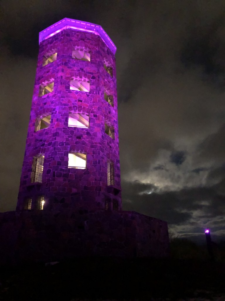 Enger Tower Photo