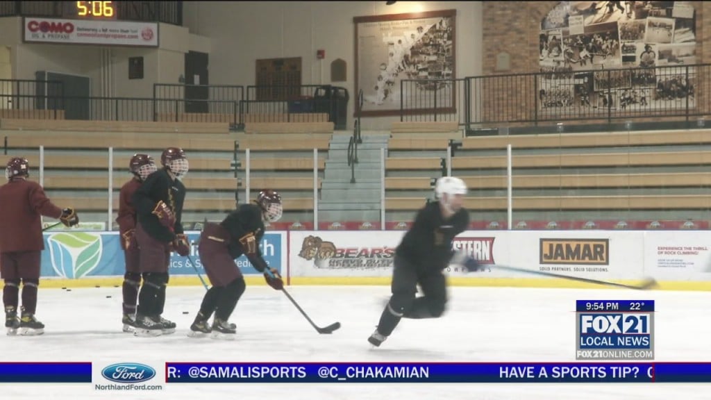 Denfeld Hockey