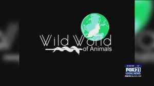 Wild World Of Animals