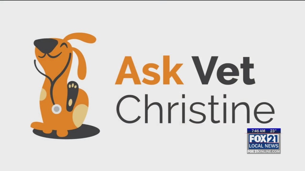 Ask Vet Christine