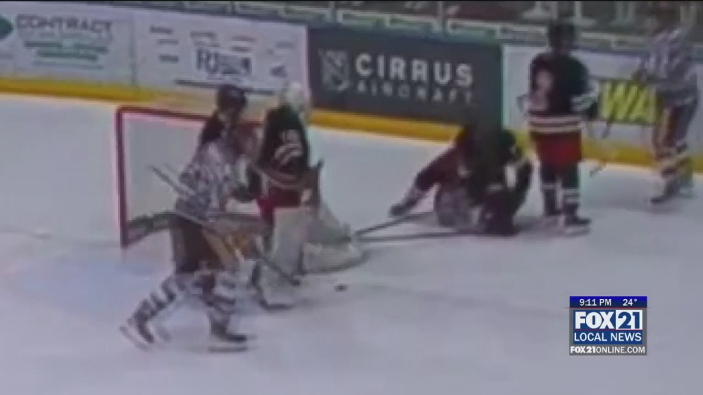 Hockey Fight