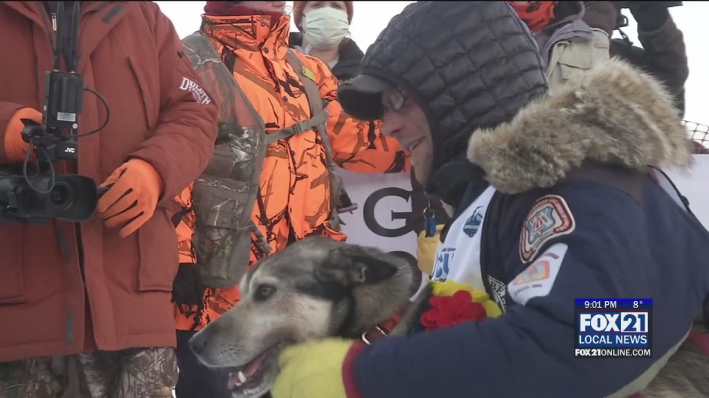 Beargrease