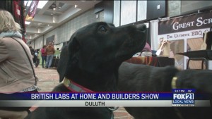 British Labs At Home And Builders Show