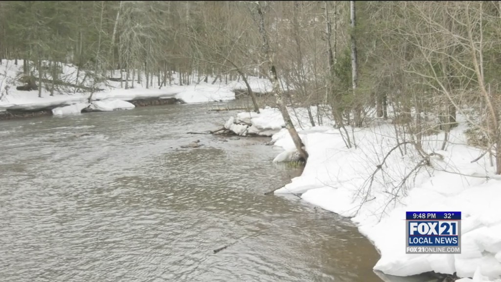 Trout Fishing
