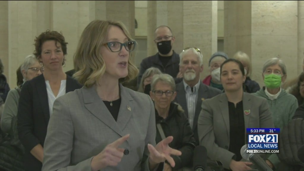 State Representative Jen Schultz Announces She's Running For Congress