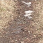 Natural Surface Trails To Be Closed Temporarily