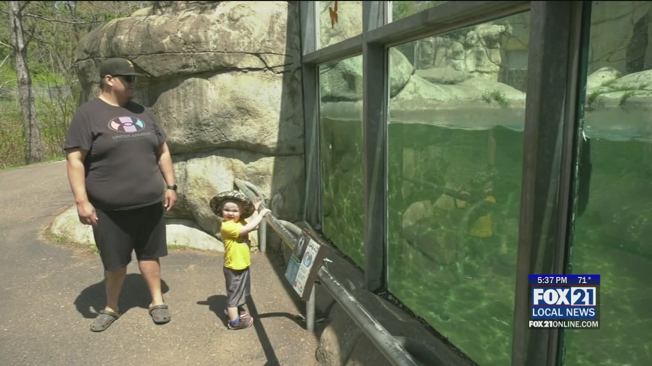 Duluth Zoo Funding Updates