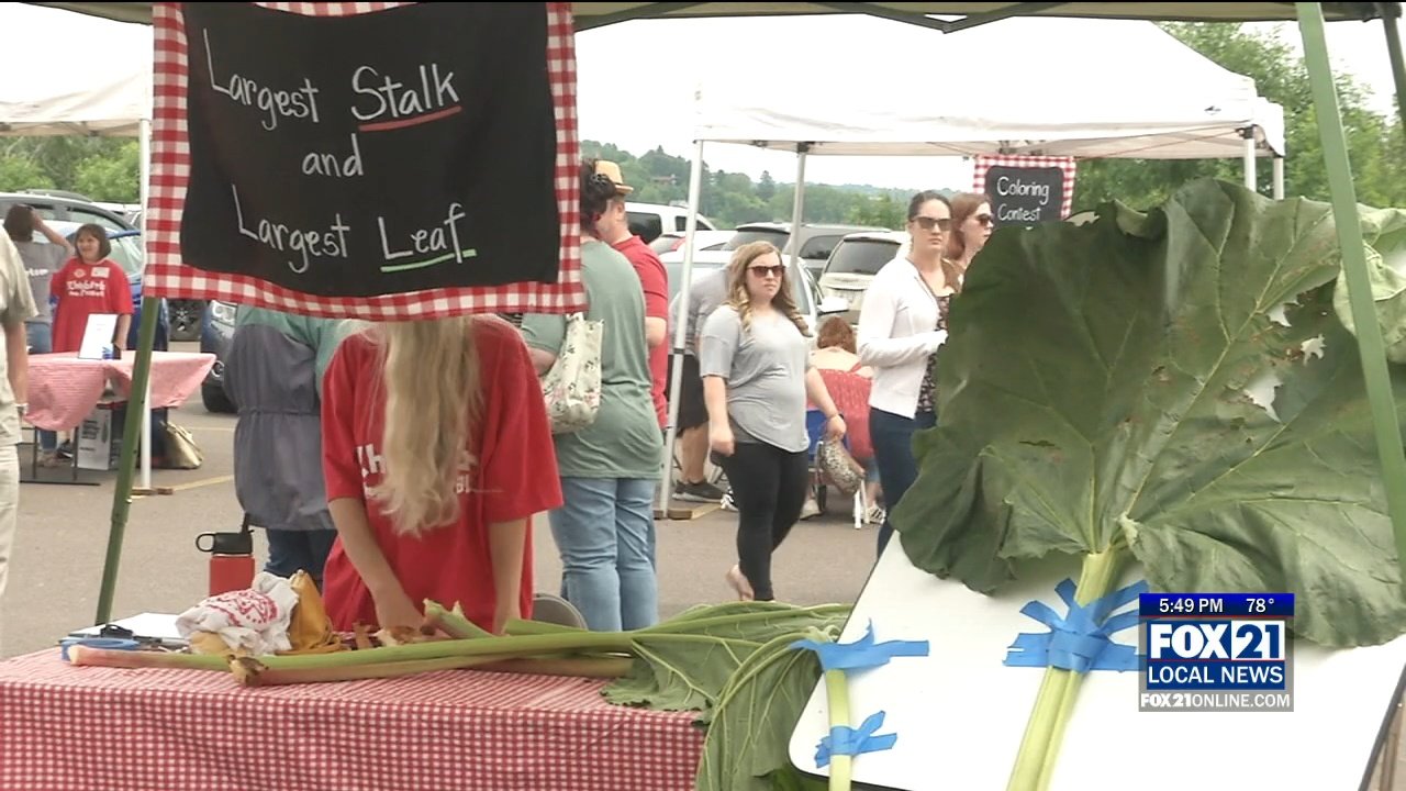 rhubarb festival volunteers