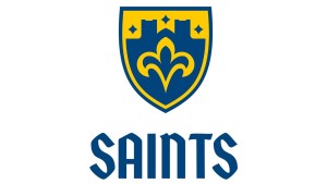 New Css Logo