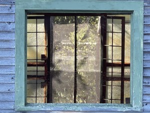 Mallard Window