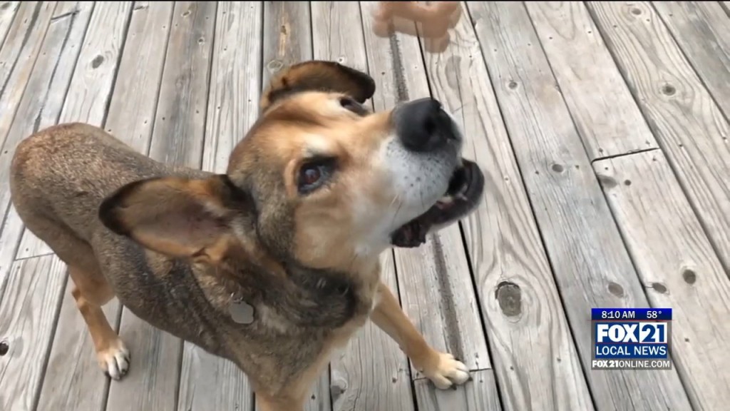 Tuffy Preview