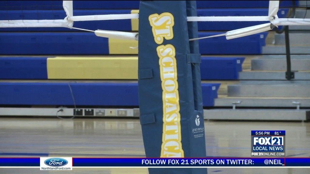 Css Volleyball
