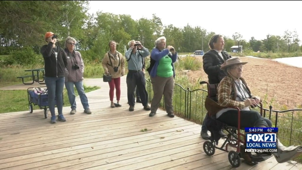 Accessible Birding