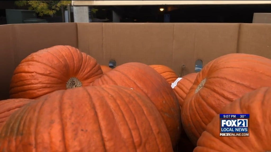 Pumpkin Train