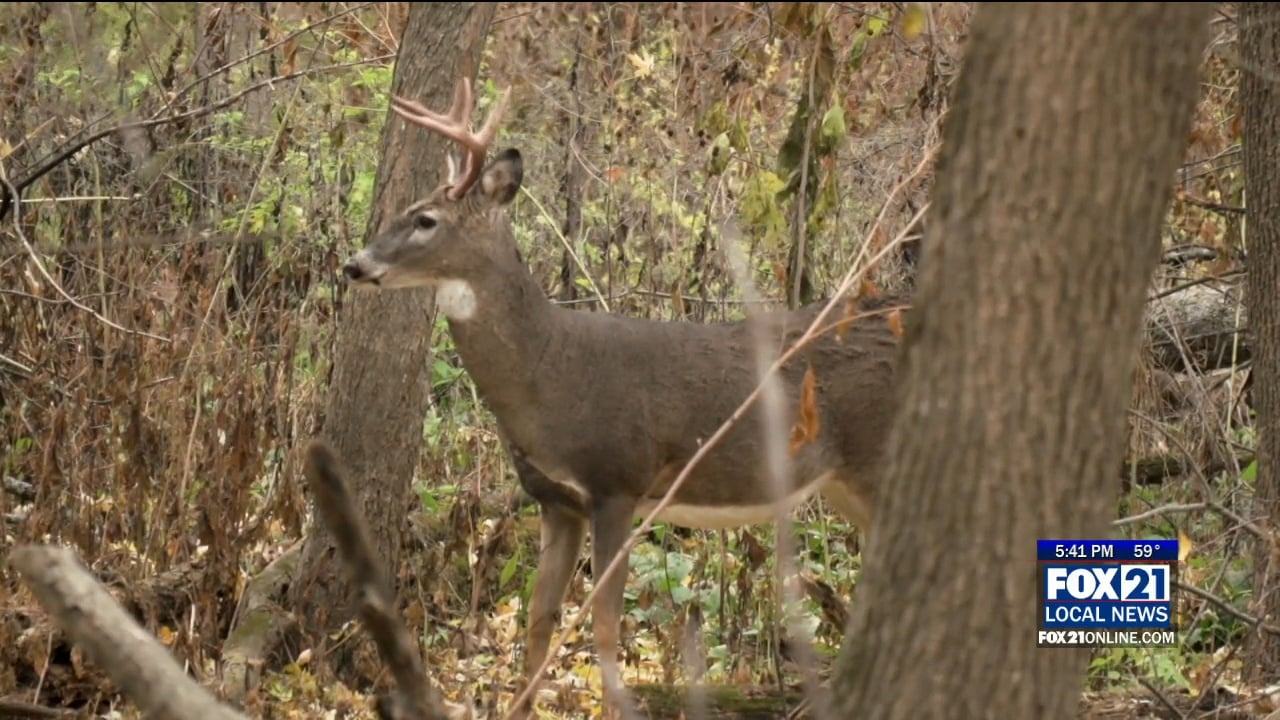 Minnesota DNR Wants Hunters Ready Before Heading Out for This Weekend's