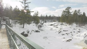 Jay Cooke Pic