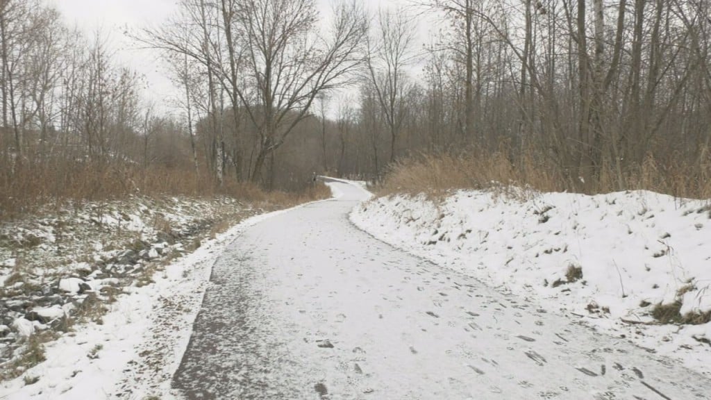 Trail