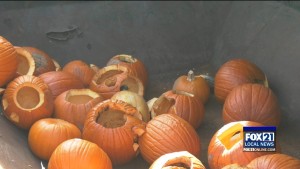 Pumpkin Compost