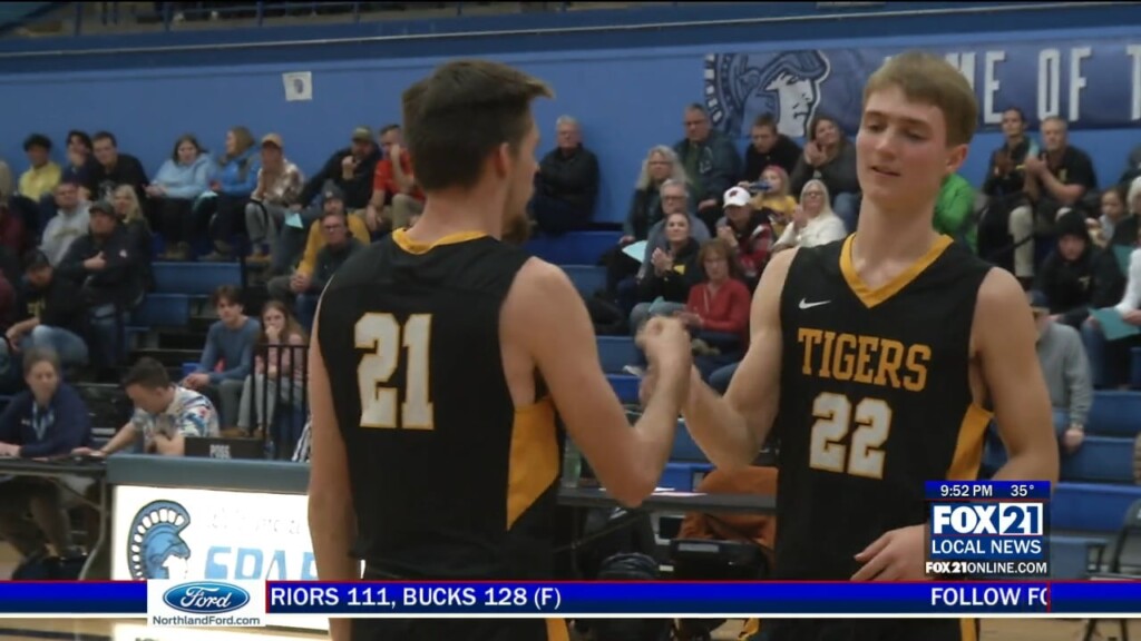 Tigers Bbb