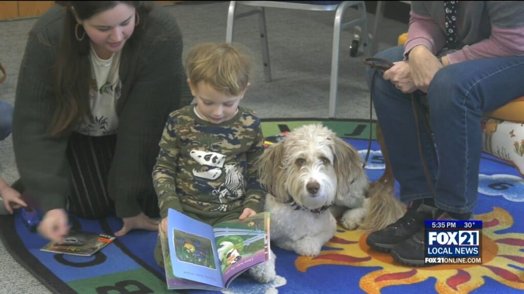 Barks And Books