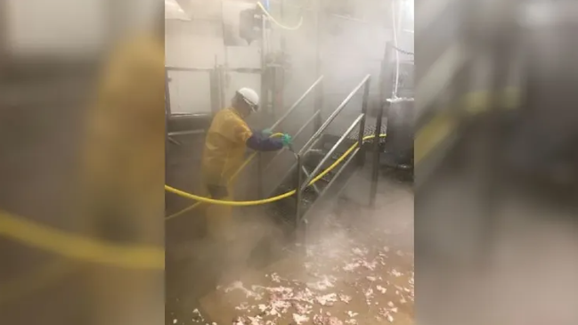 Company Fined