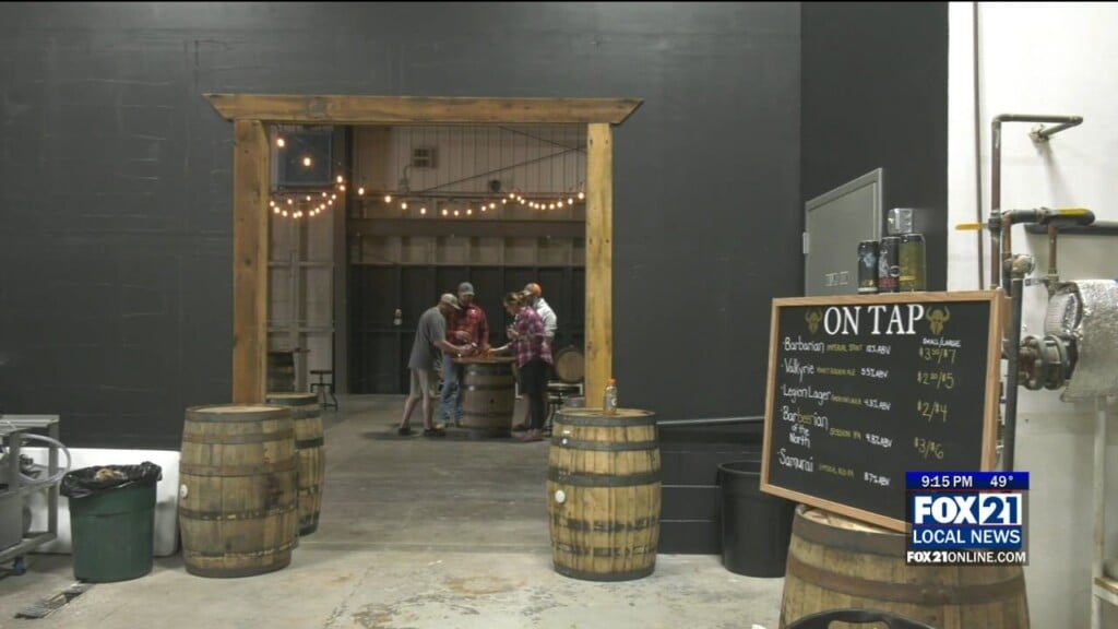 Warrior Brewing