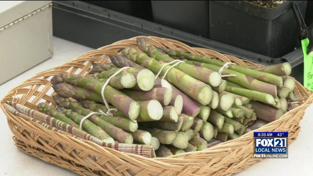Farmer's Market