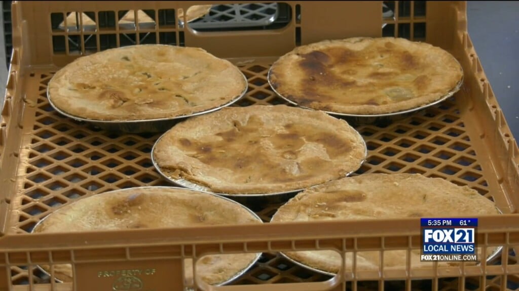 Nercc Pies