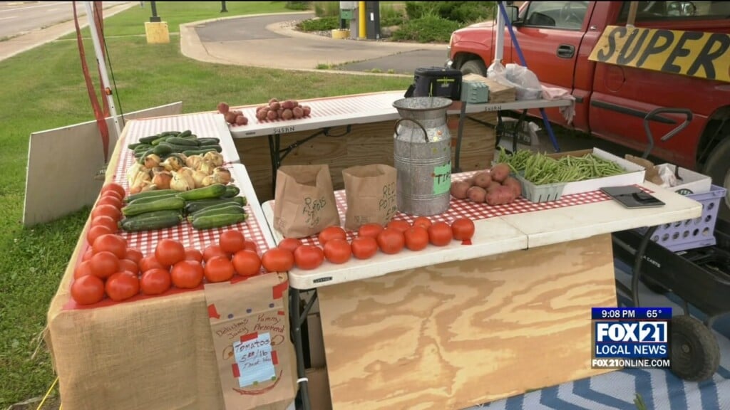 Vegetable Stand