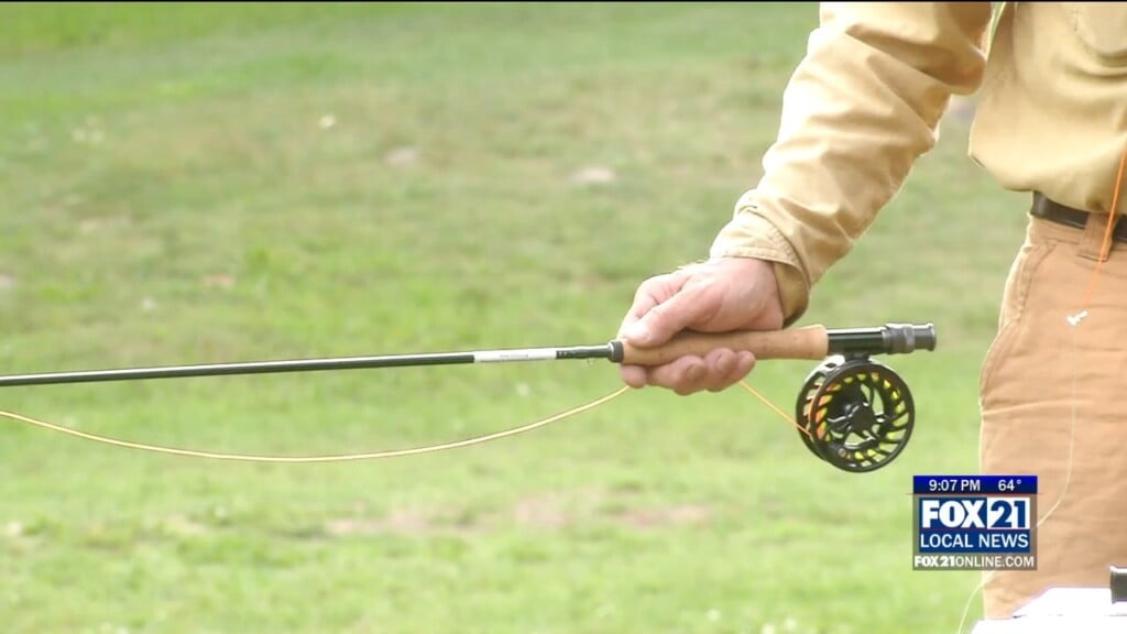 Flyfish
