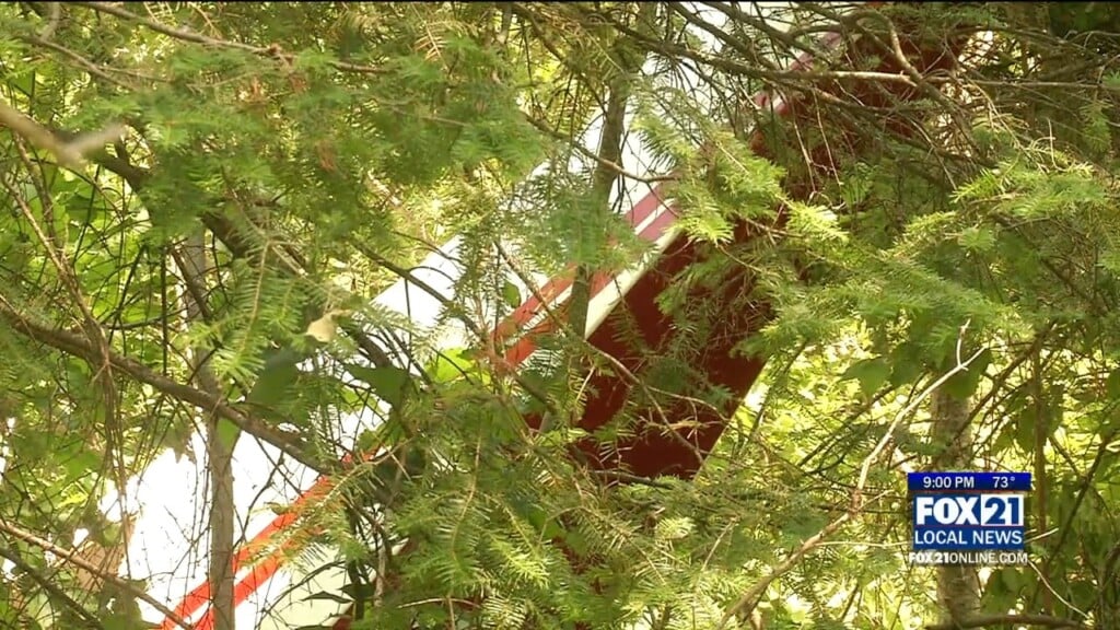 Plane Crash Update
