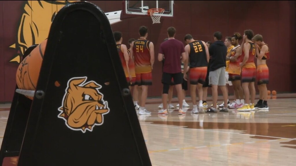Bulldogs Spain